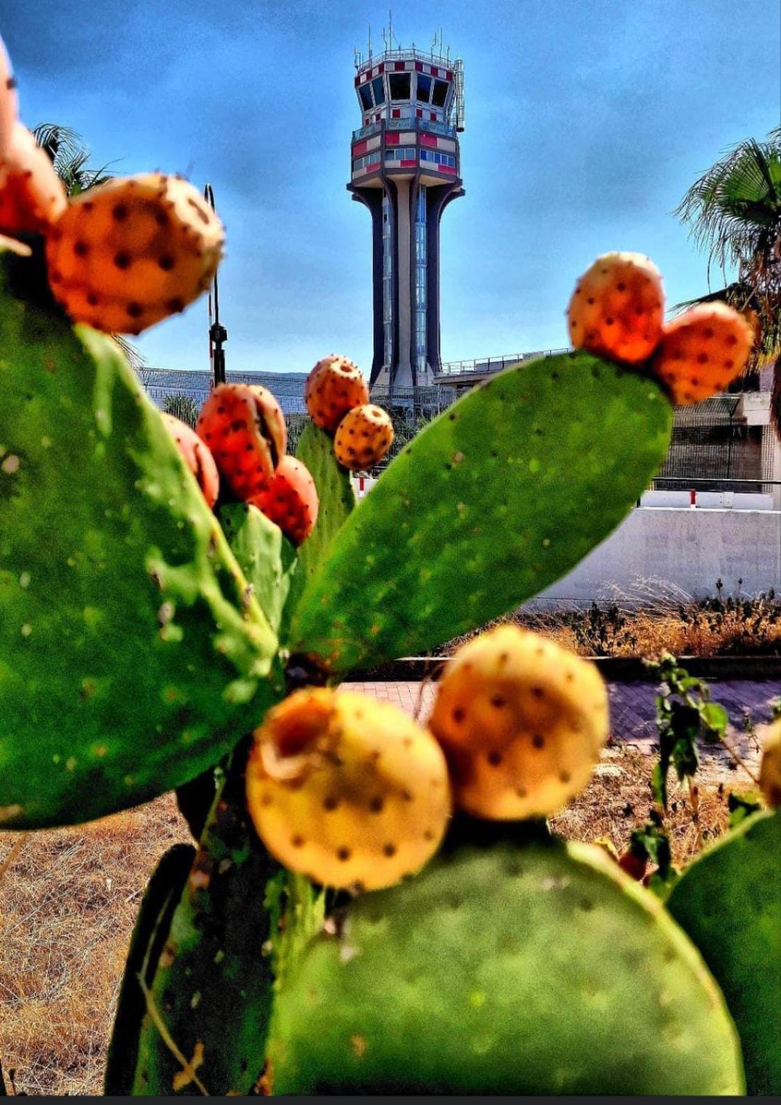 Home Holiday Kalanto Castellammare del Golfo Buitenkant foto